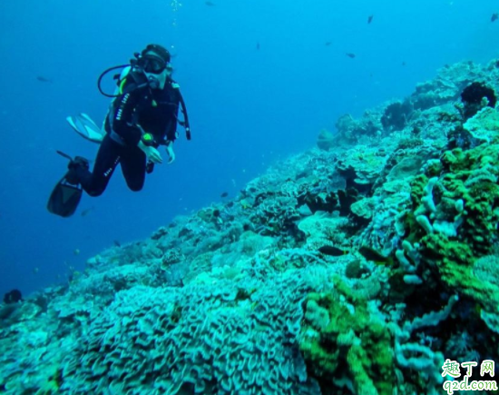 近视潜水怎么办 潜水时能不能睁眼睛