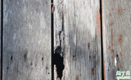 客厅铺木地板与贴瓷砖选哪个好 铺设木地板人工费是怎么算的