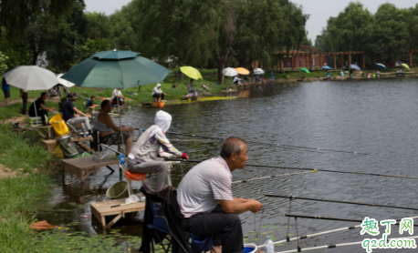 阴天钓鱼有难度吗 夏季阴天钓鱼钓底还是钓浮