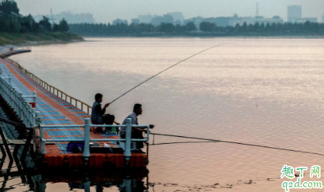 晚上野钓夜光漂吃铅多少合适 夜光漂吃铅重了怎么办