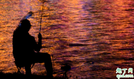 晚上野钓夜光漂吃铅多少合适 夜光漂吃铅重了怎么办