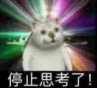 奇怪猫猫头表情包无水印版 最火猫猫头恶搞表情包