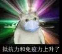 奇怪猫猫头表情包无水印版 最火猫猫头恶搞表情包