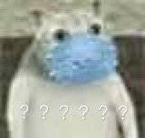 奇怪猫猫头表情包无水印版 最火猫猫头恶搞表情包