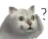 奇怪猫猫头表情包无水印版 最火猫猫头恶搞表情包