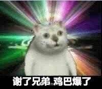 奇怪猫猫头表情包无水印版 最火猫猫头恶搞表情包
