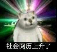 奇怪猫猫头表情包无水印版 最火猫猫头恶搞表情包