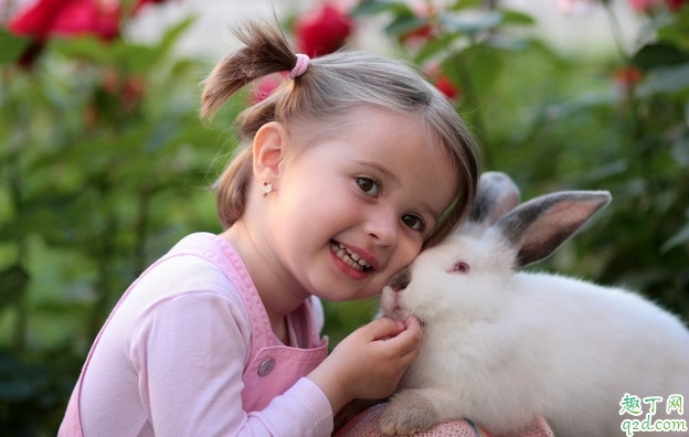 宝宝为什么会拉肚子怎么回事 宝宝拉肚子怎么样好的快