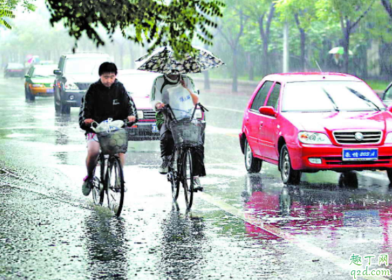 台风天下雨怎么开车 雨天开车要开雾灯吗