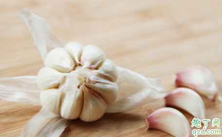 天冷了大蒜能浇水吗 如何判断大蒜要不要浇水