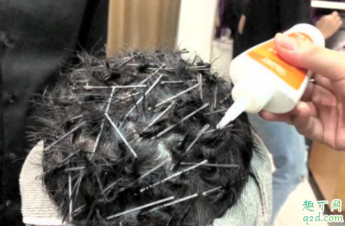 自然卷可以钢夹烫吗 钢夹烫没几天就直了怎么办