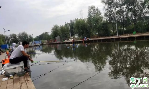 鱼吃钩不明显是什么问题 鱼不吃钩有什么办法可以解决