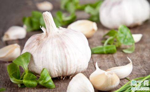 大蒜年前能不能浇水 大蒜年前需要浇几次水