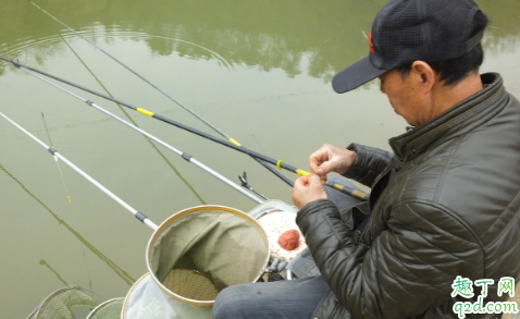 野钓时如何快速钓麦穗 钓上的麦穗怎么做好吃