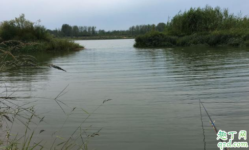 4.5米的鱼竿用多长的线加子线好 钓鱼人喜欢夜钓是什么心态