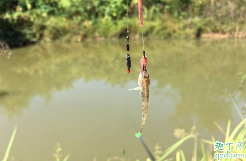 4.5米的鱼竿用多长的线加子线好 钓鱼人喜欢夜钓是什么心态