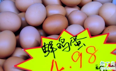 2020养鸡的前景怎么样 2020养鸡利润高不高行情预测