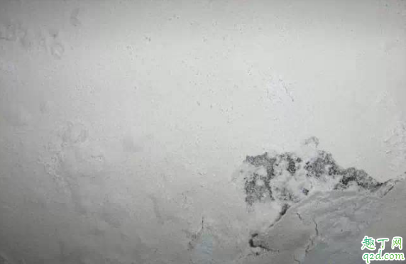 墙面反碱是什么意思 什么地方容易出现墙面反碱
