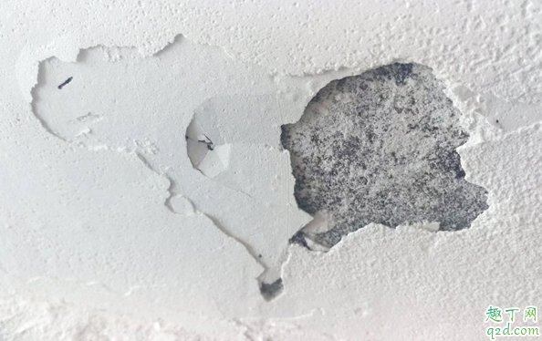 墙面反碱是什么意思 什么地方容易出现墙面反碱
