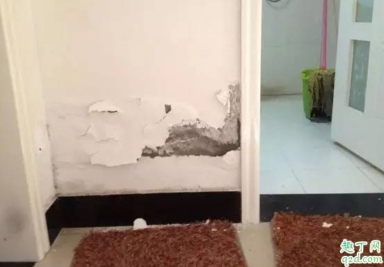 墙面反碱是什么意思 什么地方容易出现墙面反碱