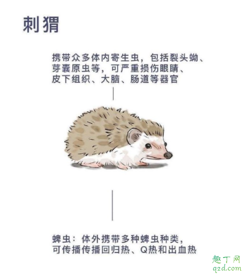 野生动物有多少病毒 野生动物如何引发疫情