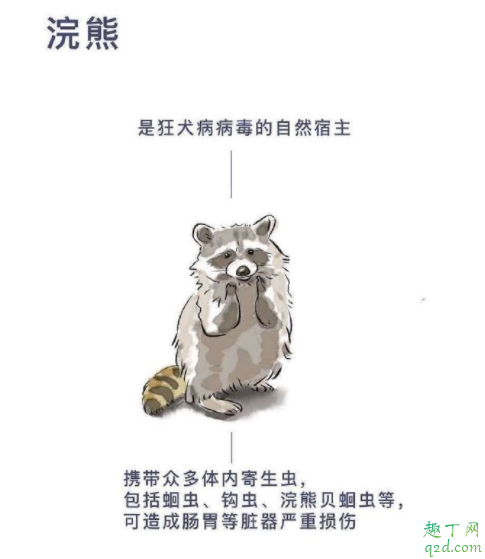 野生动物有多少病毒 野生动物如何引发疫情