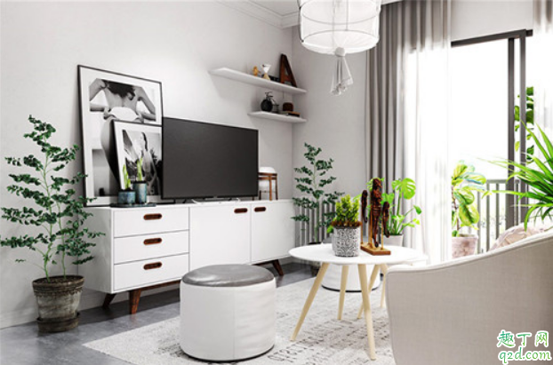 客厅里面放什么植物合适好 客厅不能放哪些植物