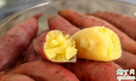 红薯制饵料怎么钓鱼 红薯饵料制作方法