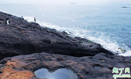 红薯制饵料怎么钓鱼 红薯饵料制作方法
