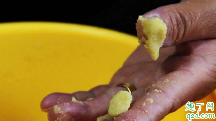 红薯制饵料怎么钓鱼 红薯饵料制作方法