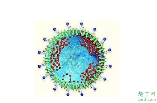 隔离期过了可以出门吗 患冠状病毒撑过十天就好了吗