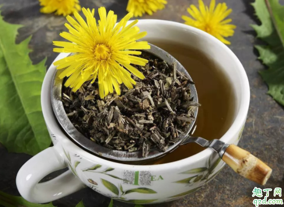 母乳喂养多喝水奶水会增多吗 喂奶能喝蒲公英泡水吗