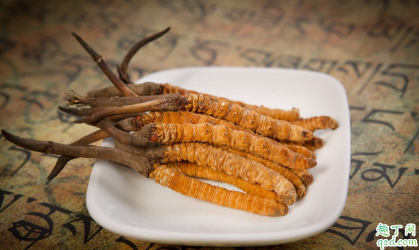 高丽参给孕妇吃行不 孕妇常吃高丽参好不好