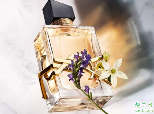 YSL圣罗兰最新款香水肆意之水多少钱 YSL春季新品肆意之水测评