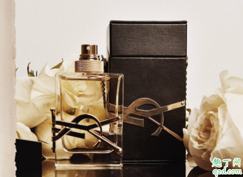 YSL圣罗兰最新款香水肆意之水多少钱 YSL春季新品肆意之水测评