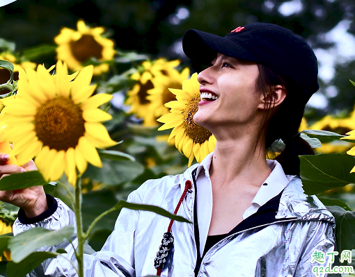 锦衣之下翟兰叶是严世蕃的人吗 翟兰叶结局是怎样的