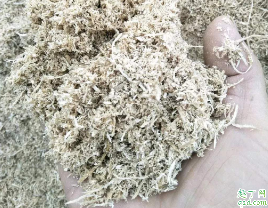 用锯末当花土养花可以吗 锯末可以直接撒在地里吗