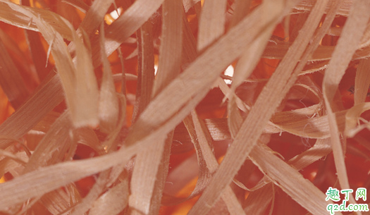 木材的锯末能当农作物肥料吗 木屑怎么加工发酵成有机肥