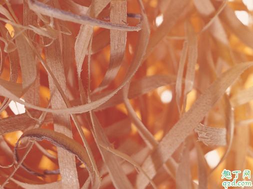 锯末养月季可以吗 兰花里面能不能放入锯末