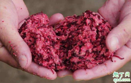 霜降过后钓鱼如何用饵 鱼漂用久了灵敏度会变吗