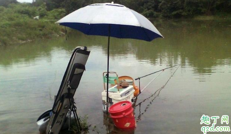 如何判断打的窝子是否进鱼了 深秋钓鱼用饵料好还是蚯蚓好