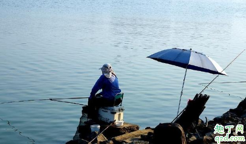 如何判断打的窝子是否进鱼了 深秋钓鱼用饵料好还是蚯蚓好