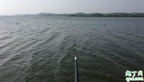 降温当天钓鱼钓多深适合 降温为什么好钓鱼