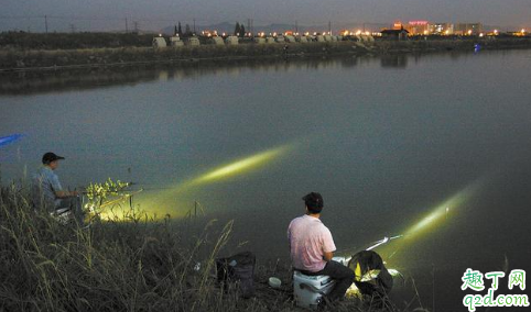 鲤鱼坑夜钓要不要开灯 夜钓鲤鱼是电子漂好还是夜钓灯好