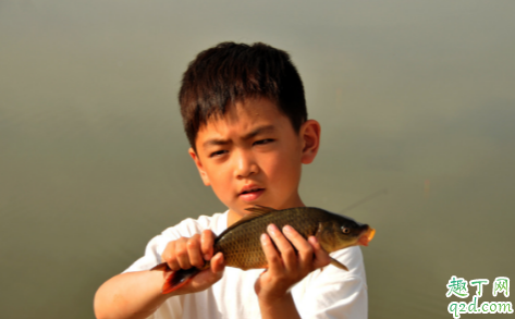 鲫鱼吃口太轻怎么钓 钓鱼的时候没口怎么办
