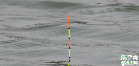 鲫鱼吃口太轻怎么钓 钓鱼的时候没口怎么办