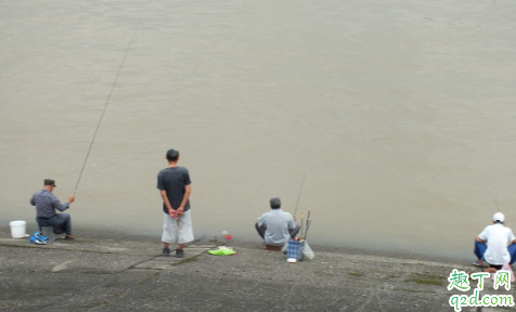 黑坑钓鱼怎么让鱼跑自己窝子 黑坑诱鱼的注意事项