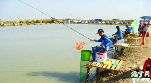 黑坑钓鱼怎么让鱼跑自己窝子 黑坑诱鱼的注意事项