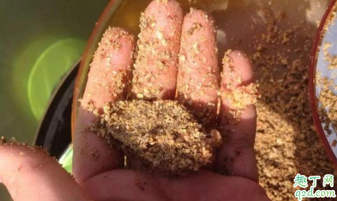 黑坑钓鱼怎么让鱼跑自己窝子 黑坑诱鱼的注意事项