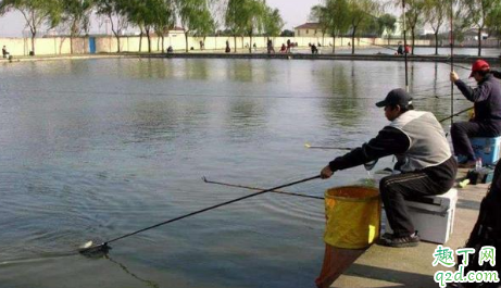 黑坑加高锰酸钾后怎样钓鱼 黑坑怎么钓鱼容易开口